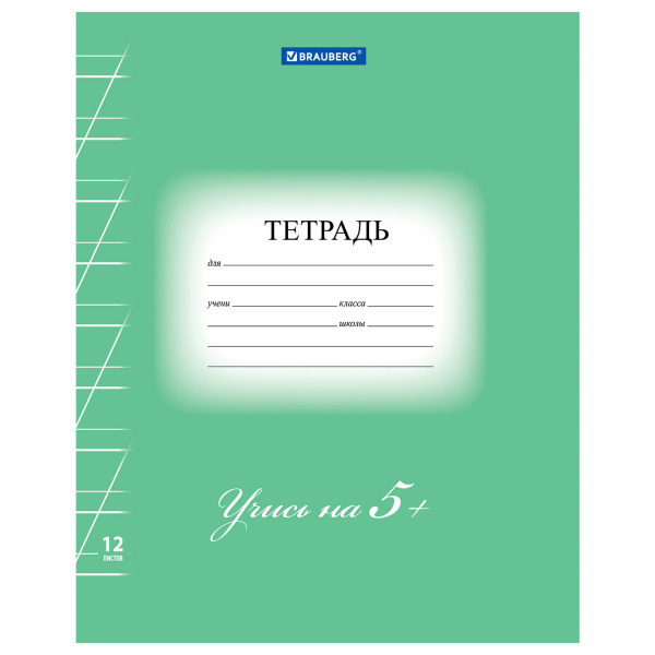 Тетрадь 12л,косая линия, Brauberg