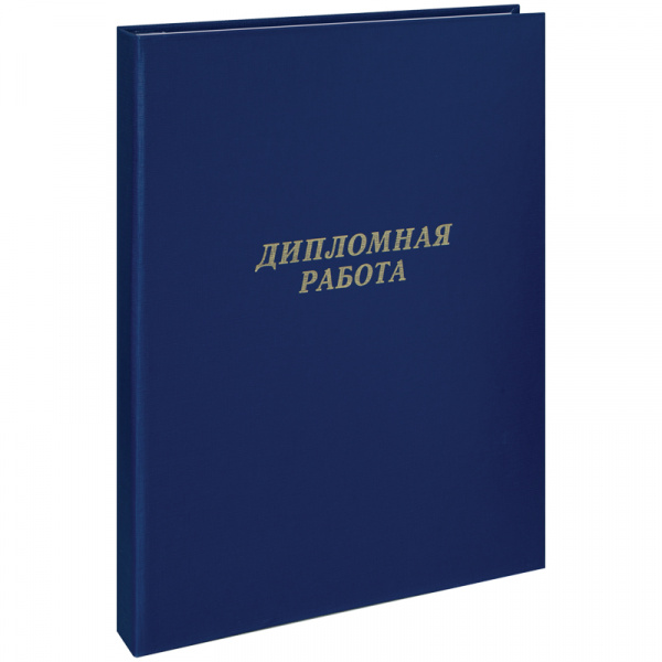 Дипломная работа