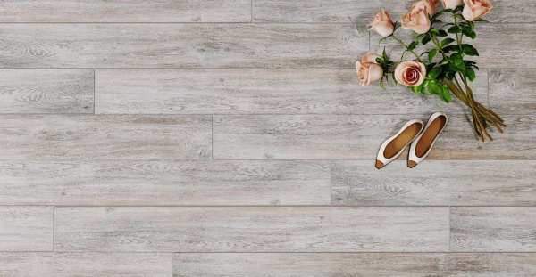SF102_4