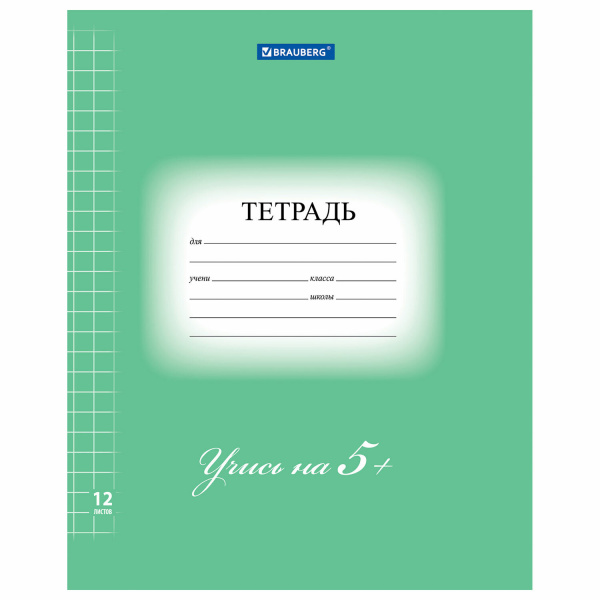 Тетрадь 12л, Brauberg Эко 5-ка, крупная клетка, зеленая 104761